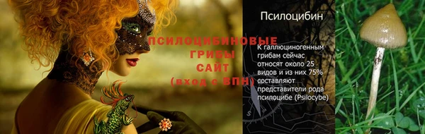 МДПВ Тавда