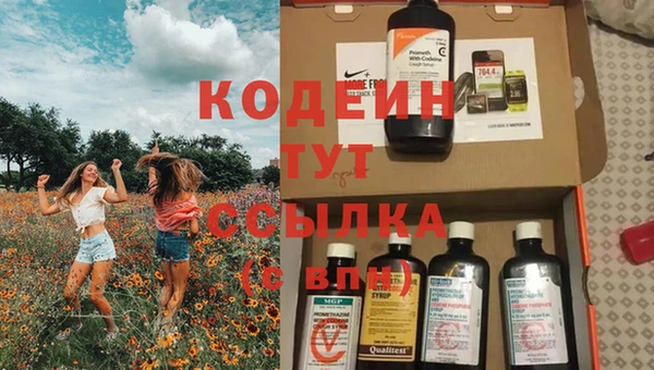 гашик Тайга