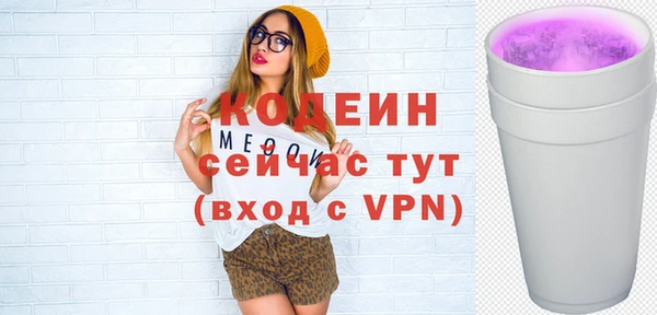 гашик Тайга