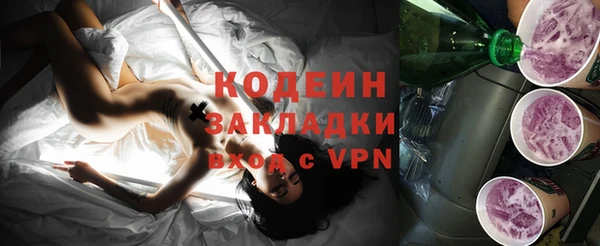 гашик Тайга