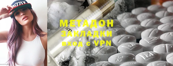 гашик Тайга
