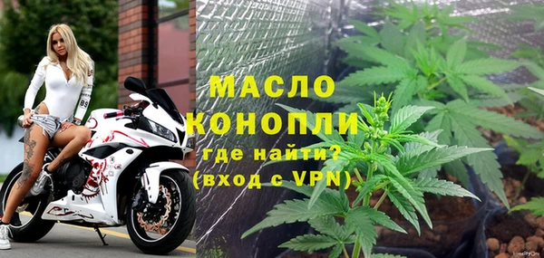 гашик Тайга