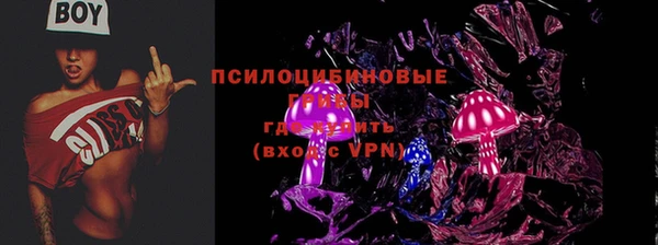 МДПВ Тавда
