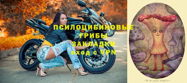 гашик Тайга