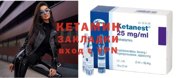 гашик Тайга