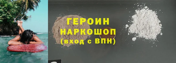 гашик Тайга