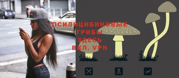 гашик Тайга