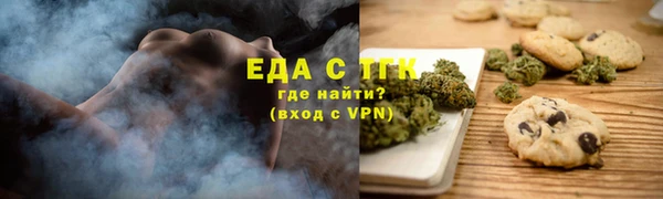 гашик Тайга