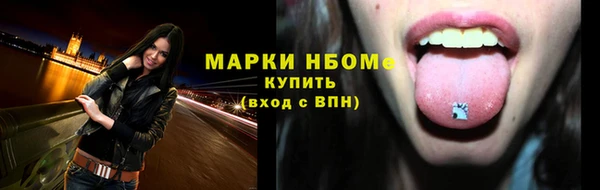 гашик Тайга
