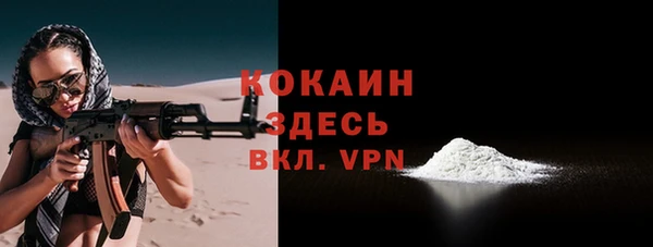 гашик Тайга