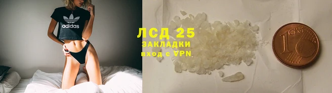 гашик Тайга