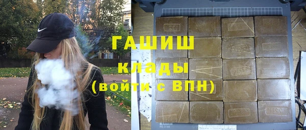 гашик Тайга