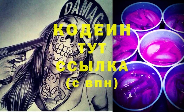 МДПВ Тавда