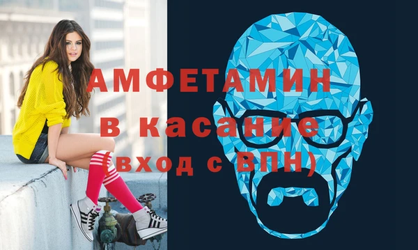 гашик Тайга