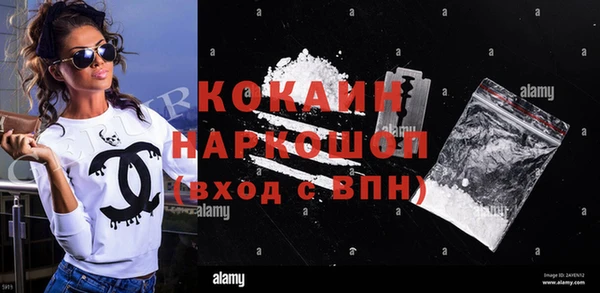 гашик Тайга
