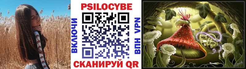 Галлюциногенные грибы мицелий даркнет сайт Жуковский